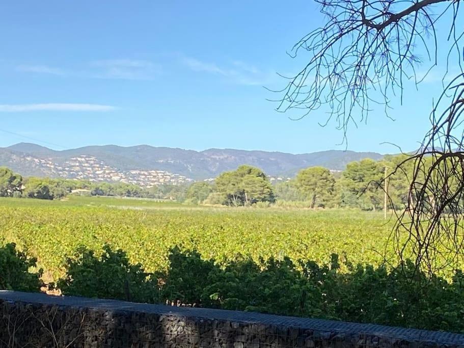 Ravissant T3 En Duplex Proche Mer La Londe-les-Maures Εξωτερικό φωτογραφία